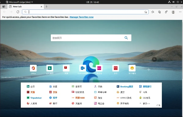 le浏览器官方下载,全面执行计划数据_Surface_v10.457