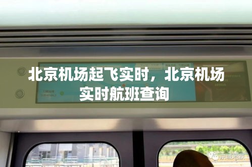 技术支持 第196页