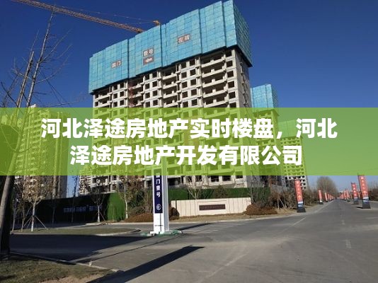 河北泽途房地产实时楼盘，河北泽途房地产开发有限公司 