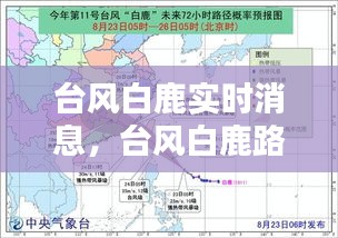 客户反馈 第197页
