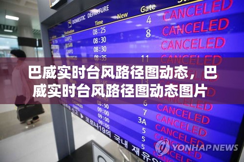 巴威实时台风路径图动态，巴威实时台风路径图动态图片 