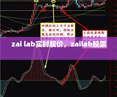 zai lab实时股价，zailab股票 