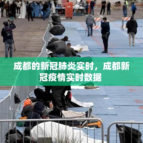 成都的新冠肺炎实时,成都新冠疫情实时数据