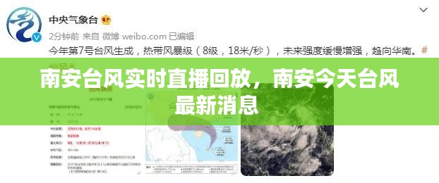 蜎飞蠢动 第3页