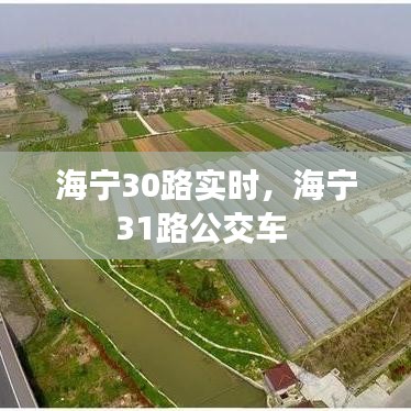 雍容华贵 第3页