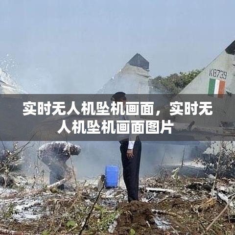 就地取材 第3页
