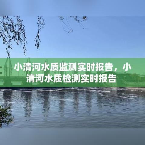 小清河水质监测实时报告，小清河水质检测实时报告 