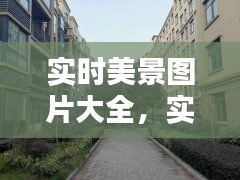 专心致志 第3页