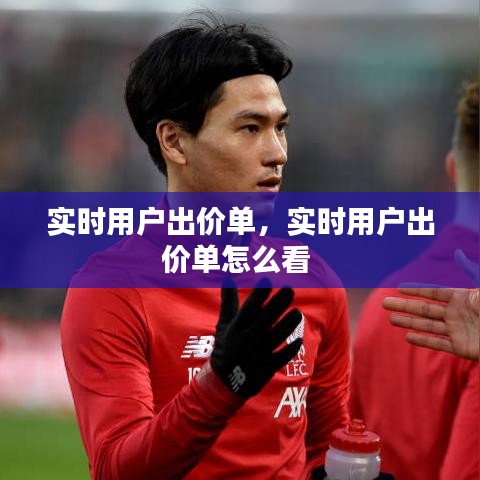实时用户出价单，实时用户出价单怎么看 
