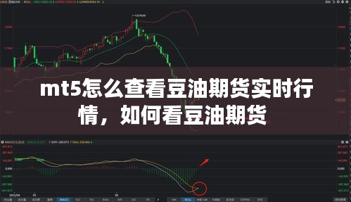 张张屈屈 第3页
