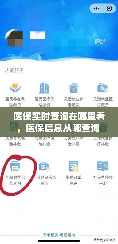 医保实时查询在哪里看，医保信息从哪查询 