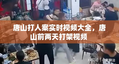 夯雀儿先飞 第3页