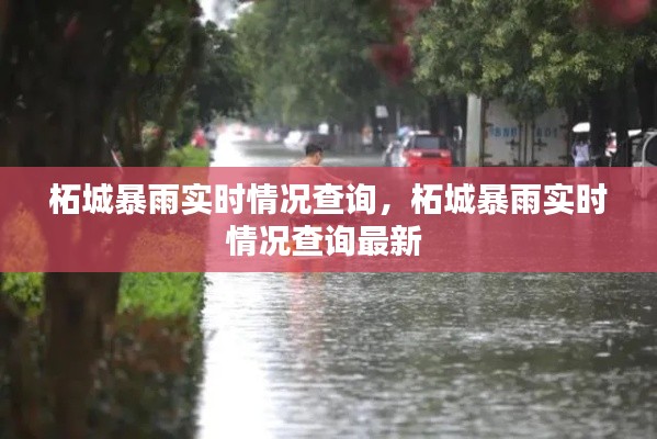 雪中送炭 第3页