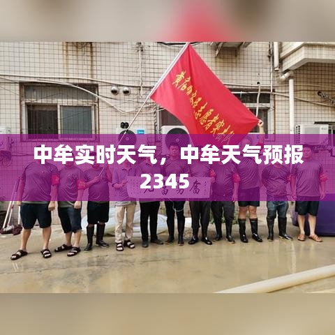 伤弓之鸟 第3页