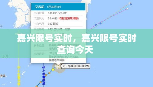 嘉兴限号实时，嘉兴限号实时查询今天 