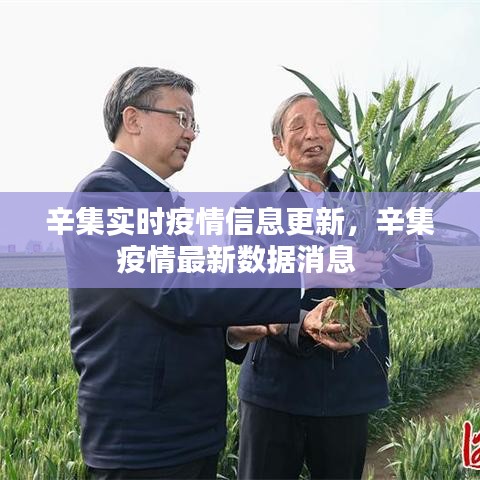 蛙鸣鼓吹 第3页