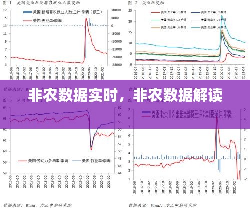云龙井蛙 第3页