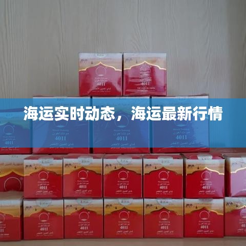 海运实时动态，海运最新行情 