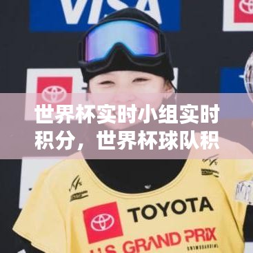 世界杯实时小组实时积分，世界杯球队积分 