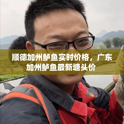 顺德加州鲈鱼实时价格，广东加州鲈鱼最新塘头价 