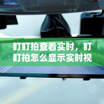 温文尔雅 第3页