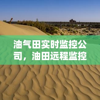 油气田实时监控公司，油田远程监控系统 