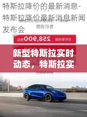 新型特斯拉实时动态，特斯拉实时行情 