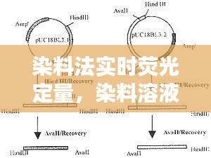 差强人意 第3页