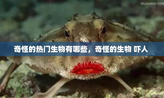 富贵功名 第3页