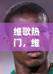 维歌热门，维韦的歌 
