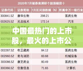 中国最热门的上市股，最火的上市公司 