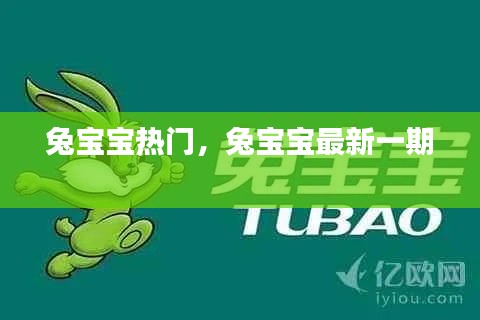兔宝宝热门，兔宝宝最新一期 