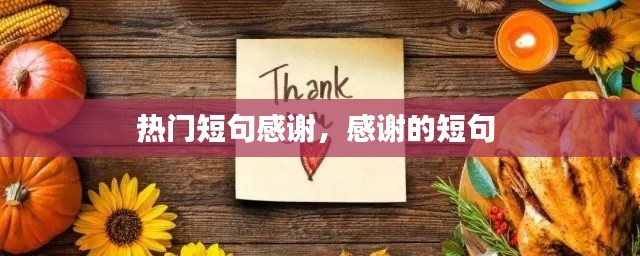 热门短句感谢，感谢的短句 
