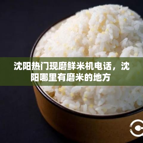 紫色蛙声 第3页
