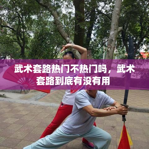 武术套路热门不热门吗，武术套路到底有没有用 