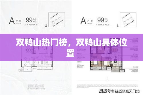 双鸭山热门榜，双鸭山具体位置 
