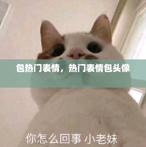 包热门表情，热门表情包头像 