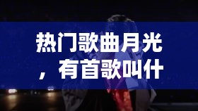 热门歌曲月光，有首歌叫什么月光 