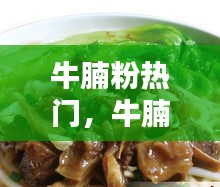 牛腩粉热门，牛腩粉的介绍 