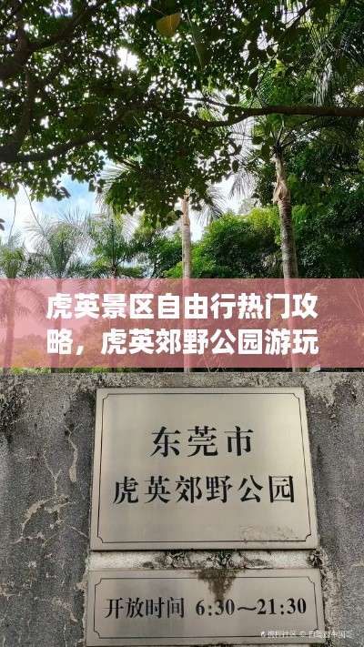 虎英景区自由行热门攻略，虎英郊野公园游玩攻略 