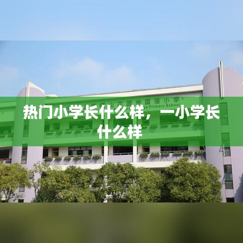 热门小学长什么样，一小学长什么样 