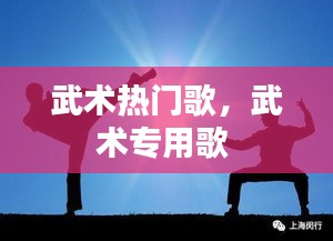 武术热门歌，武术专用歌 