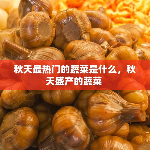 秋天最热门的蔬菜是什么，秋天盛产的蔬菜 