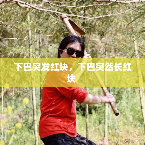 展翅欲飞 第3页