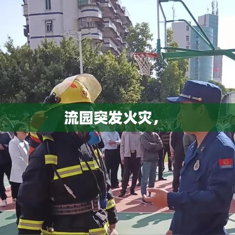 流园突发火灾， 