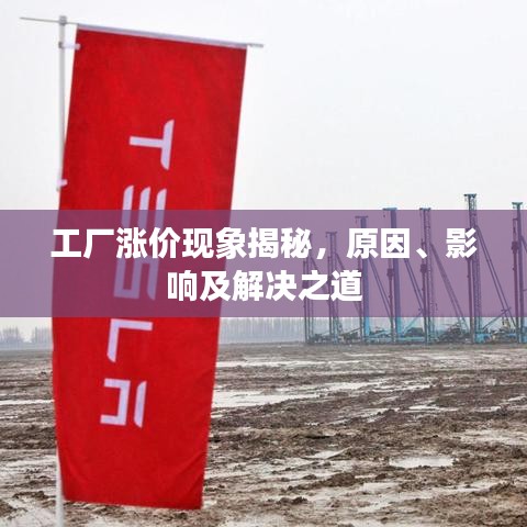 工厂涨价现象揭秘，原因、影响及解决之道