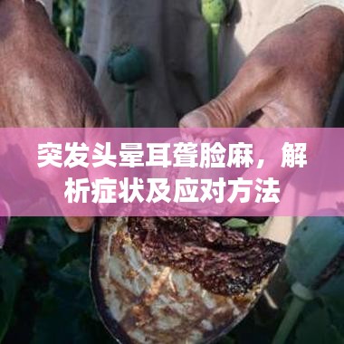 突发头晕耳聋脸麻，解析症状及应对方法