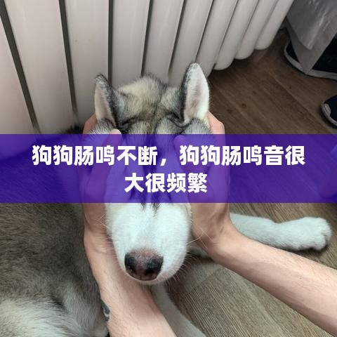 钝学累功 第3页
