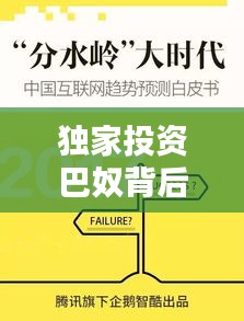 独家投资巴奴背后的投资眼光与创新精神完美结合