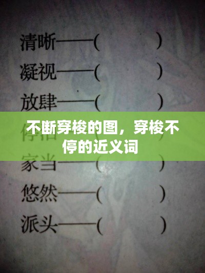 不断穿梭的图，穿梭不停的近义词 